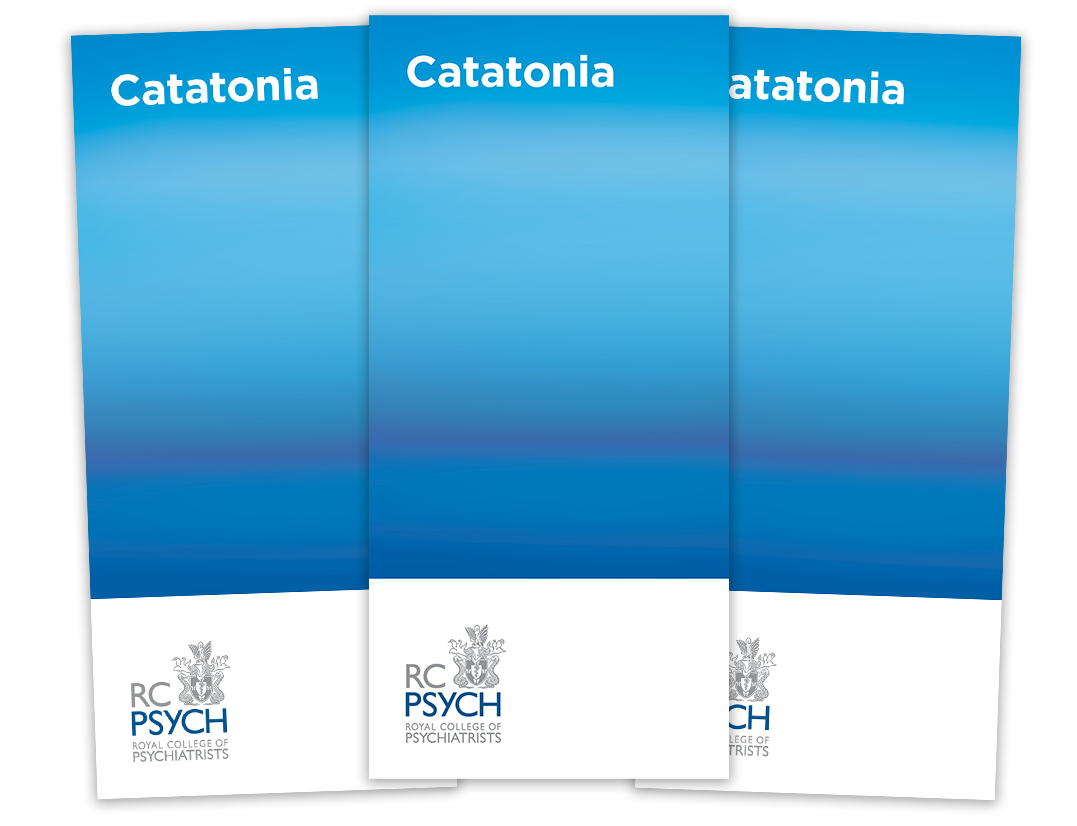 Catatonia leaflet